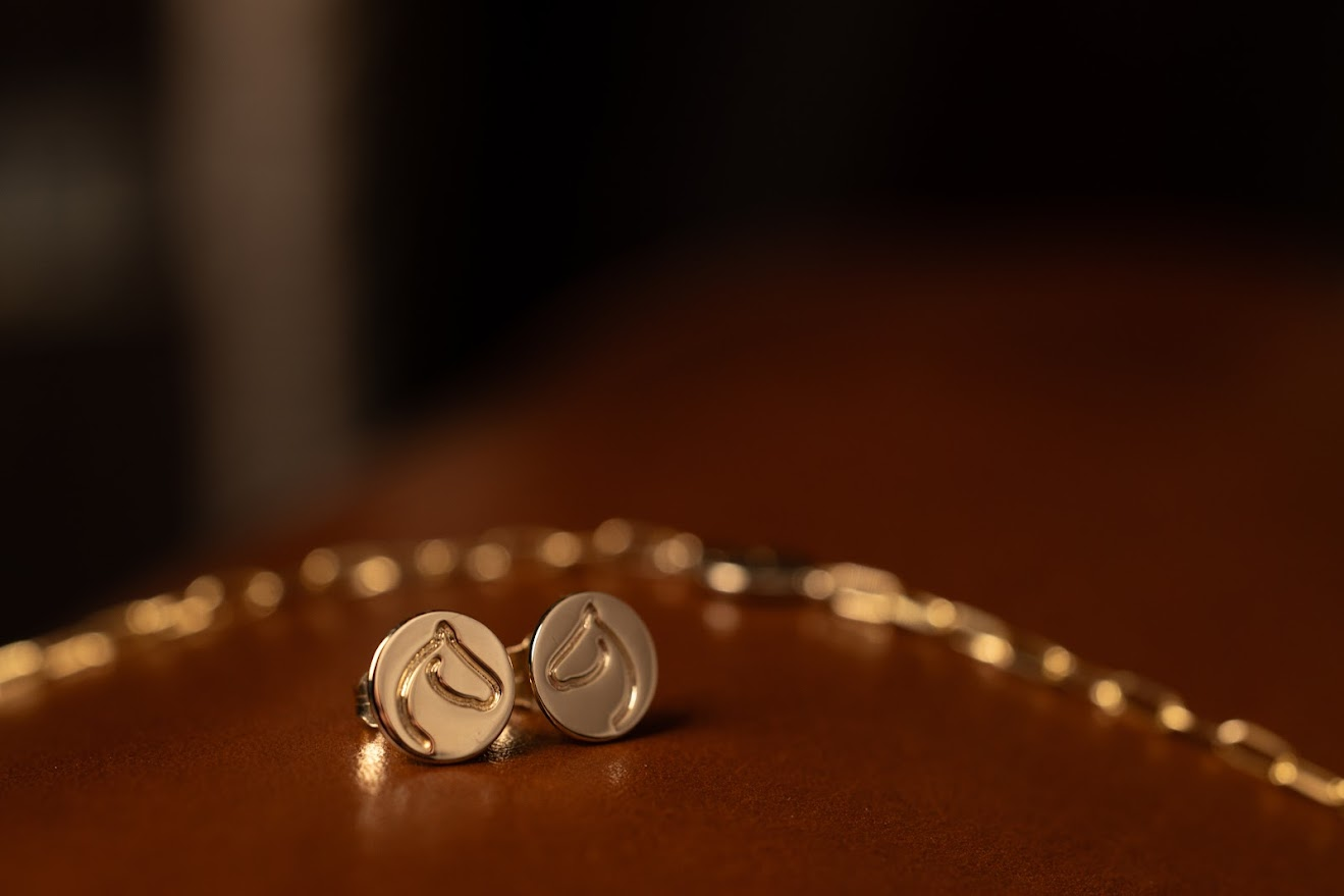 Gold-tone Circle Medallion horse stud earrings beside a chain on a leather surface