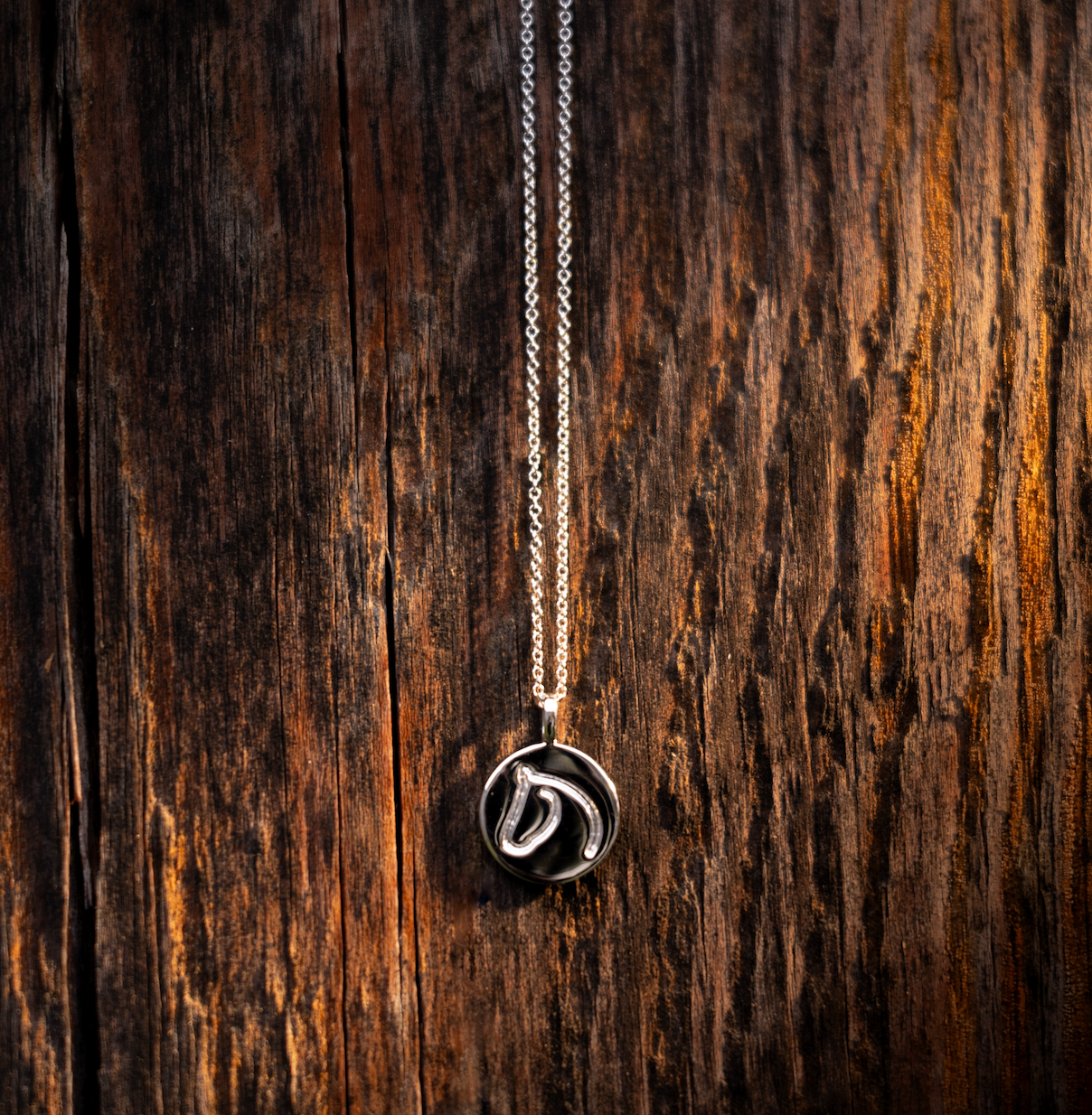 White gold circle medallion horse pendant necklace on rustic wood