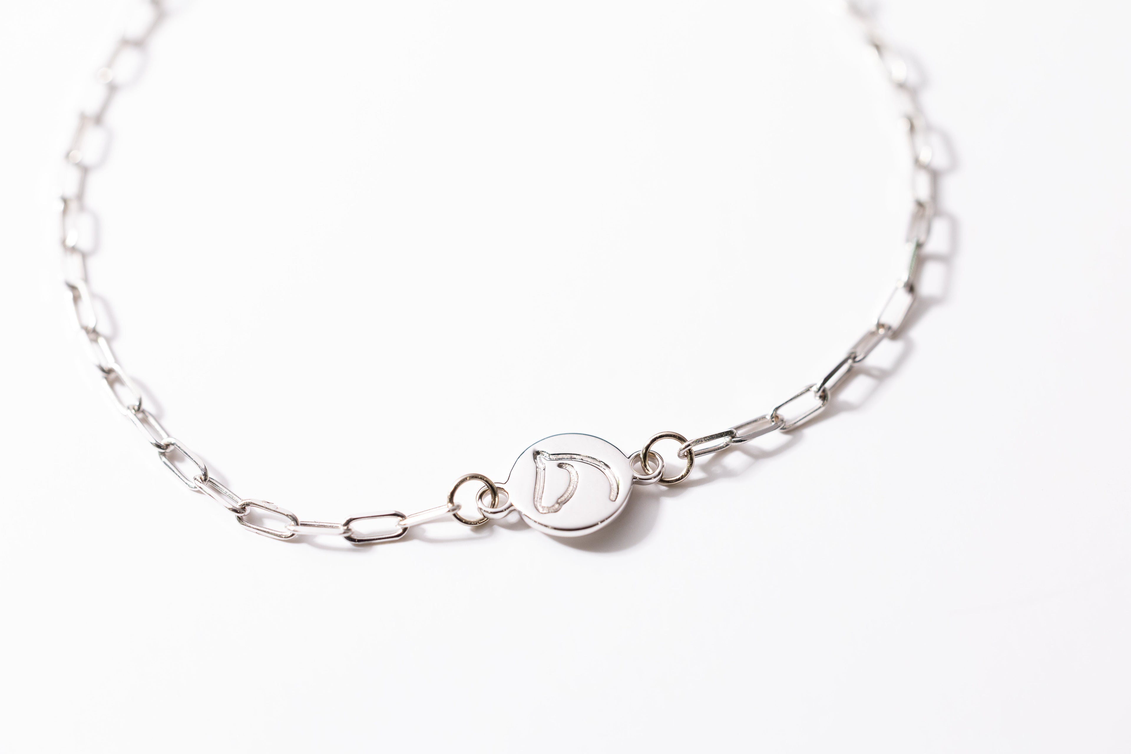 Silver-tone paperclip-chain horse bracelet with a round engraved horse-head medallion