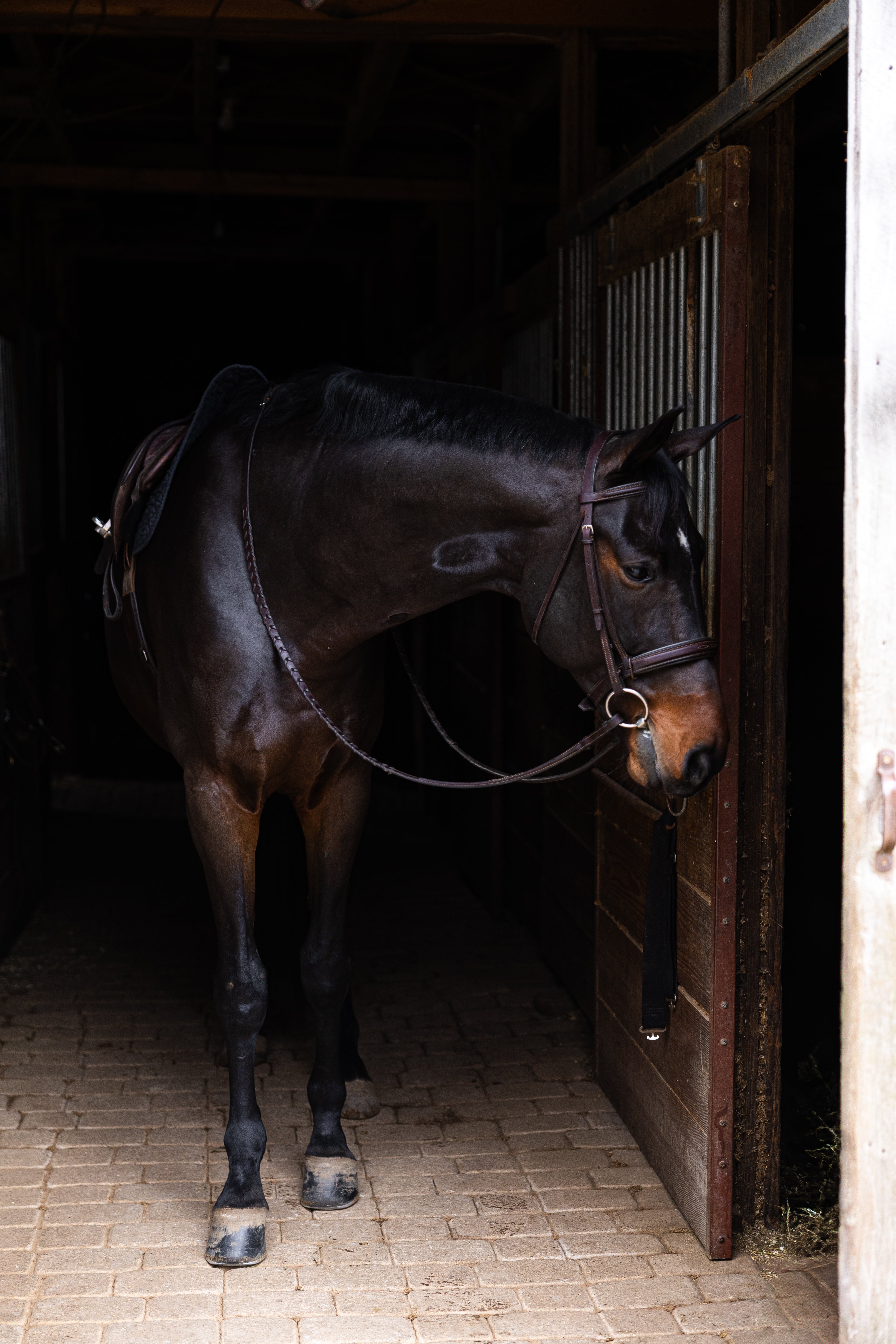 The Stable - Blog