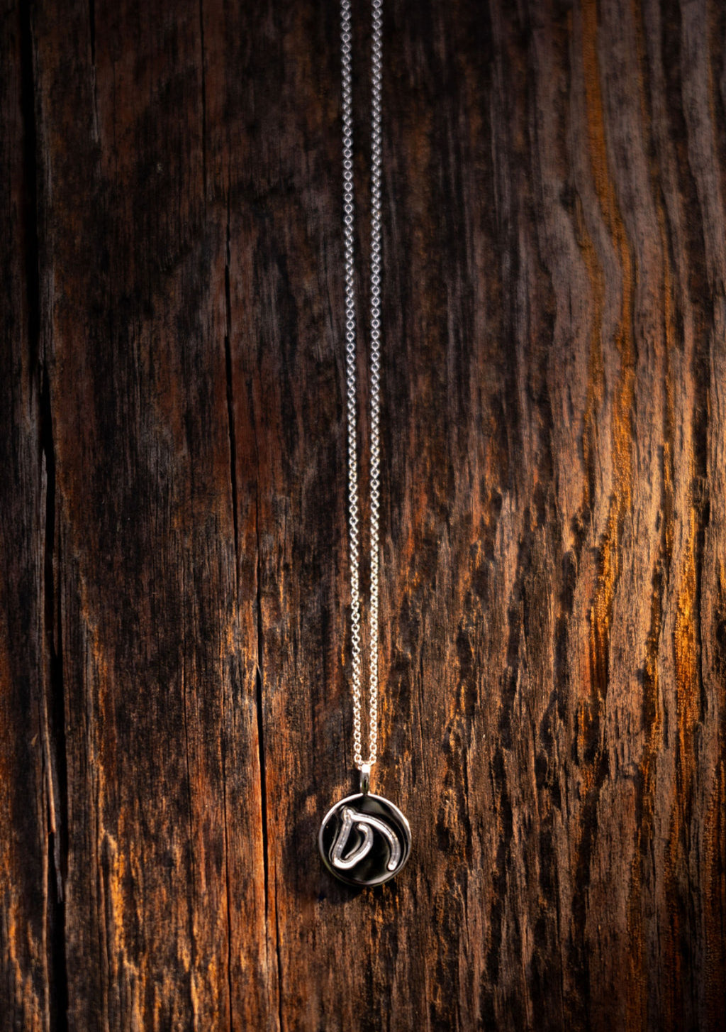 The Gilded Horse Circle Medallion Pendant Necklace 2