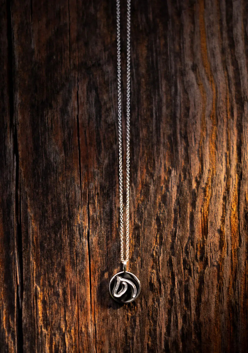 Sterling silver circle medallion horse pendant on a long chain against dark wood