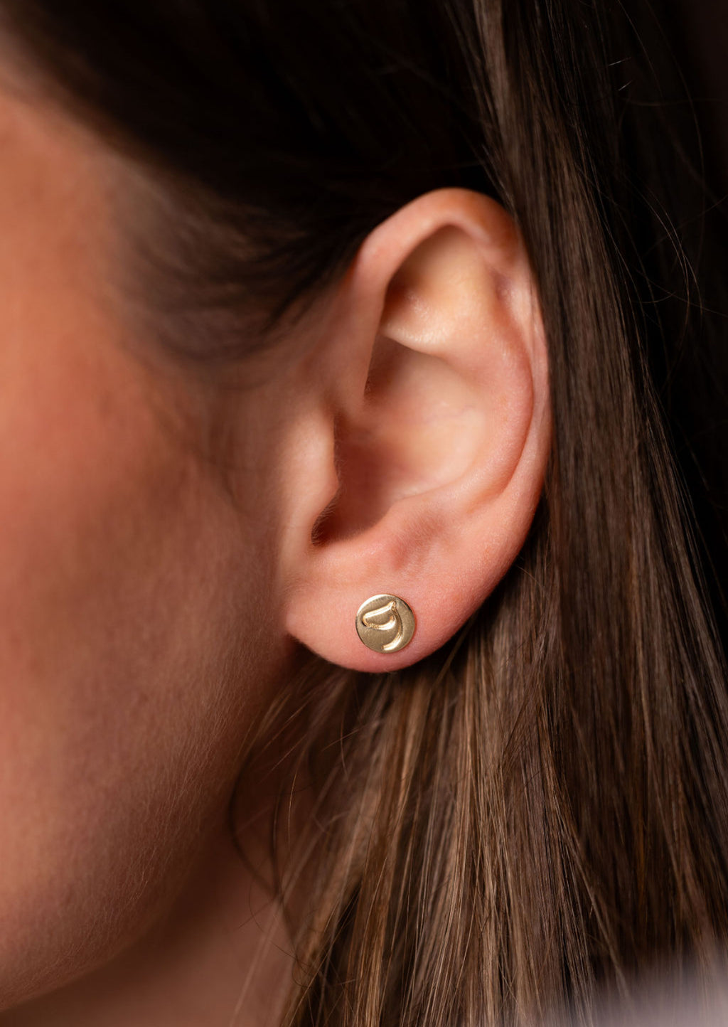 Circle Medallion Earrings 2