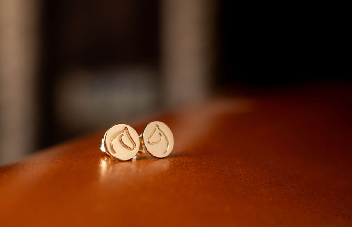 Circle Medallion Earrings 1