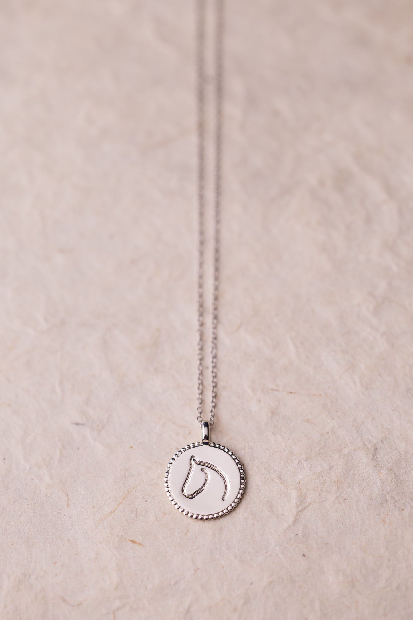 Silver necklace with a round horse pendant on a beige background.