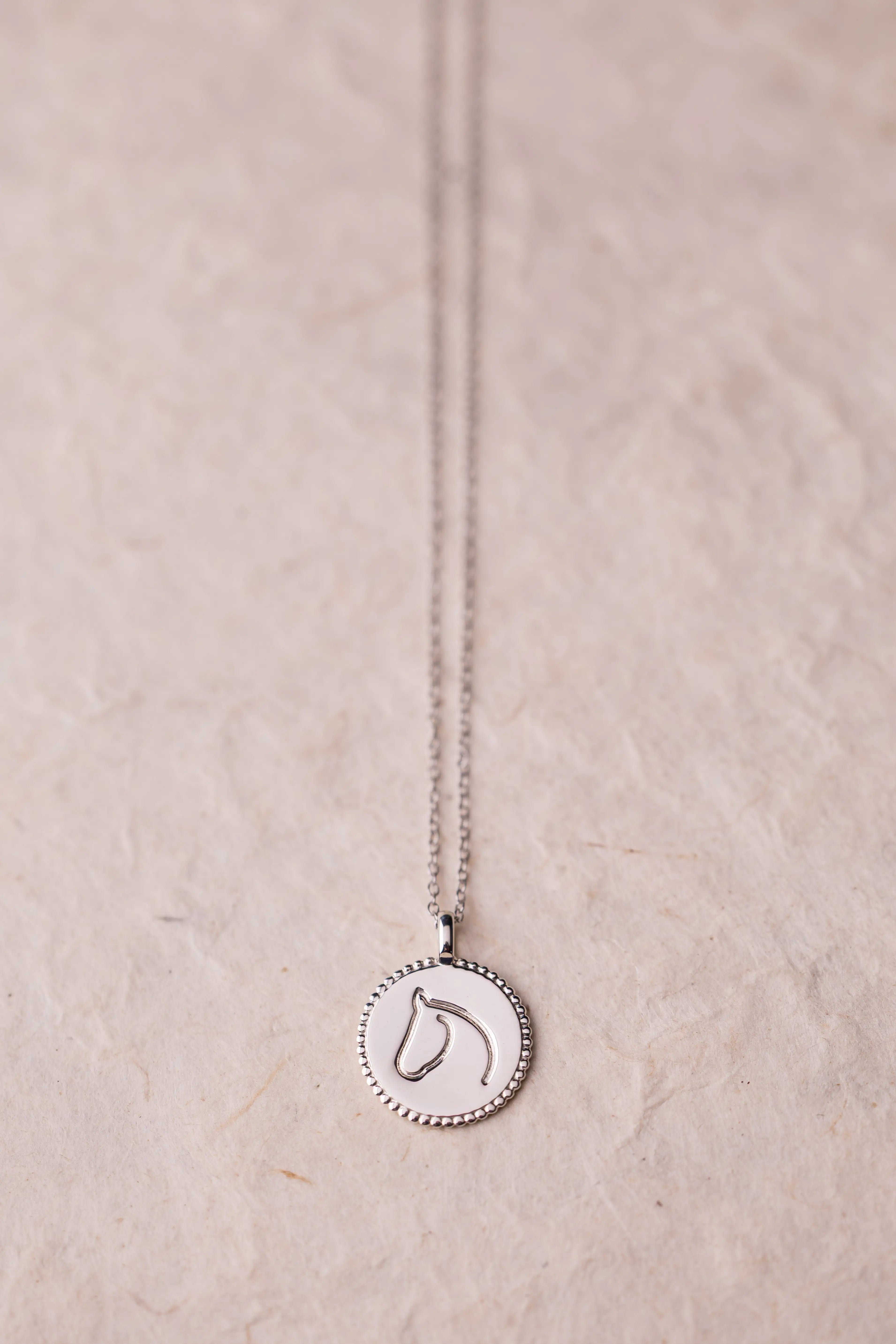 Silver necklace with a round horse pendant on a beige background.